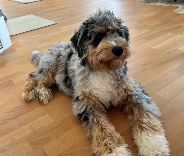 Boxenruhe statt Abenteuer