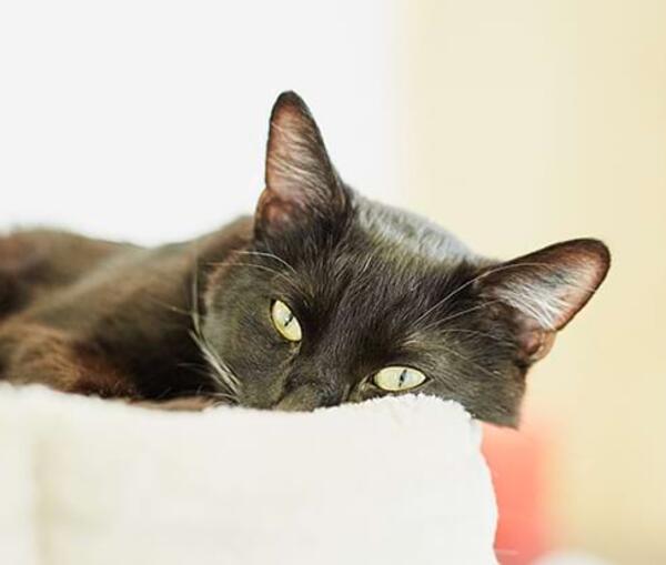 Unsere Leistungen – Stationäre Behandlung