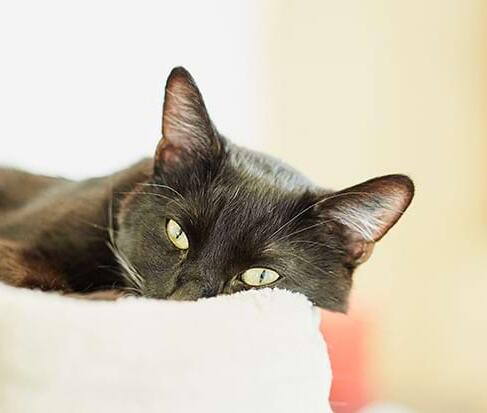 Wichtiges über Reiseerkrankungen