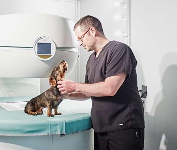 Bildgebende Diagnostik – MRT