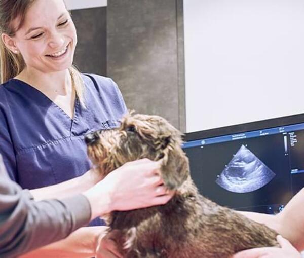 Unsere Leistungen – Innere Medizin