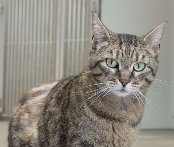 Isolationsstation 2.0