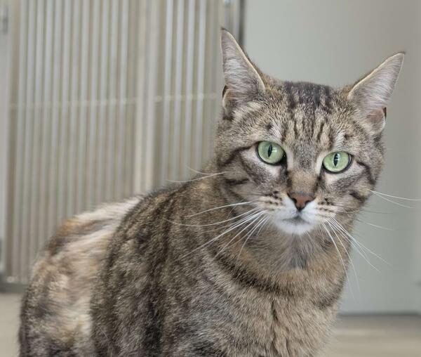 Isolationsstation 2.0