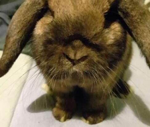 „Zahnkatastrophe“ mit Happy End