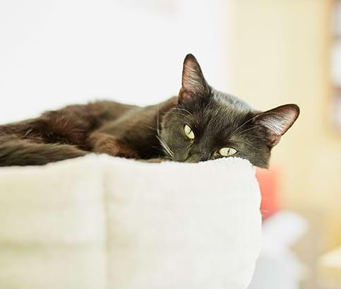 Unsere Leistungen – Dermatologie