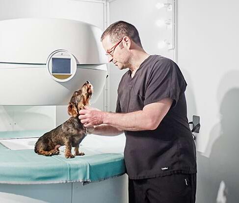 Unsere Leistungen – Endoskopie