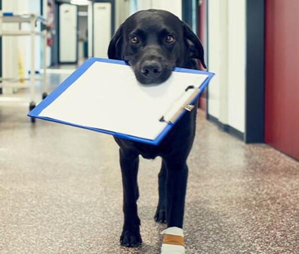 Allgemeine Überweiserinformationen