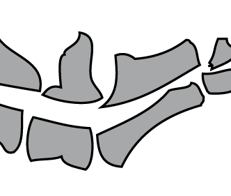 Tierphysiotherapie Übersicht