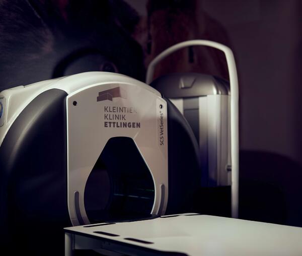 Bildgebende Diagnostik – CBCT / DVT