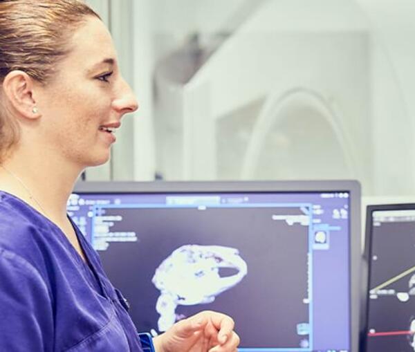 Unsere Leistungen – Onkologie