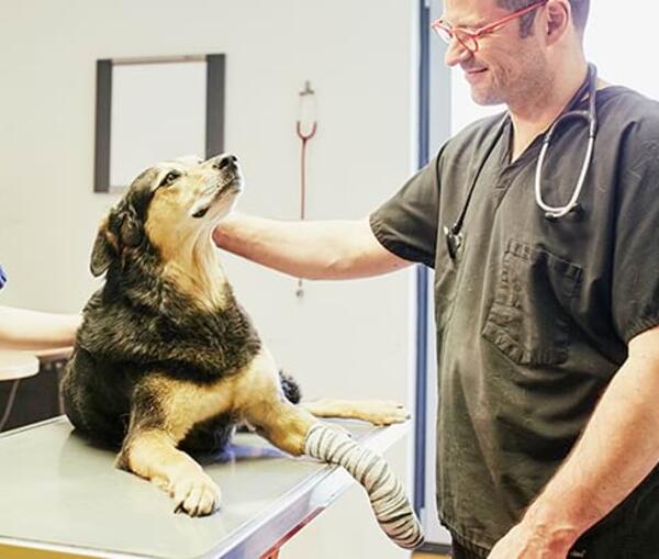 Unsere Leistungen – Wundversorgung