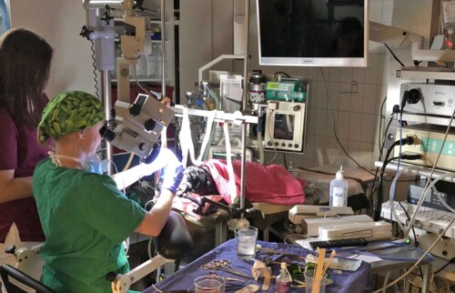 Behandlungssituation im Operationssaal.