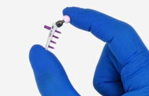 H&uuml;ftendoprothesen f&uuml;r Hunde und Katzen