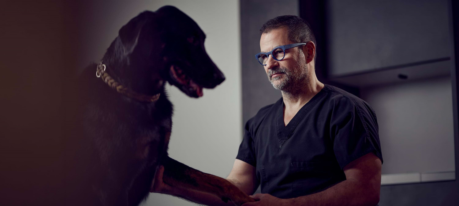 Spezialist f&uuml;r Ellenbogendysplasie Dr. Lautersack aus der Kleintierklinik Ettlingen untersucht einf&uuml;hlsam und mit viel Blick f&uuml;rs Detail einen Hund