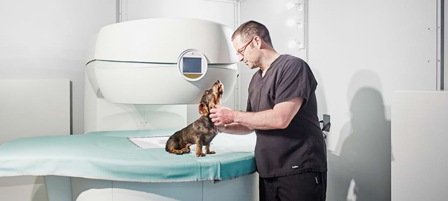 Dr. Lautersack untersucht einen Dackel vor einem Magnetresonanztomografen.