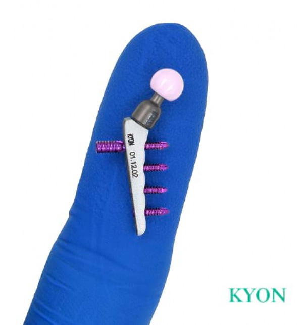 Kleines Kyon H&uuml;ftimplantat f&uuml;r pr&auml;zise Endoprothetik bei Tieren