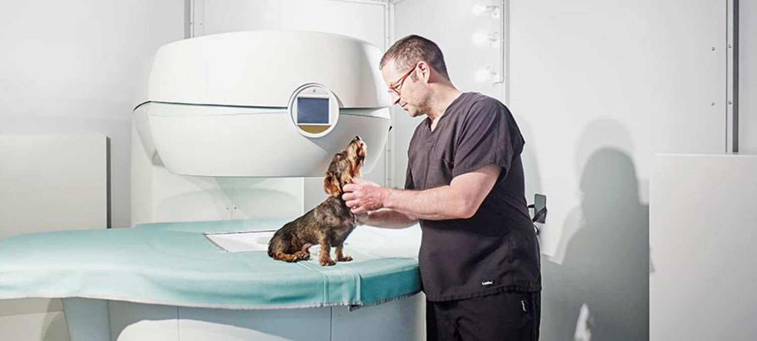Dr. Lautersackel behandelt einen Dackel vor einem Magnetresonanztomografen.