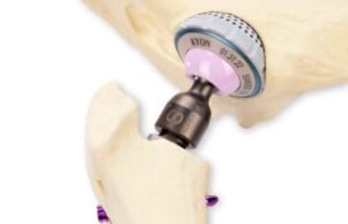 H&uuml;ftendoprothesen f&uuml;r Hunde und Katzen