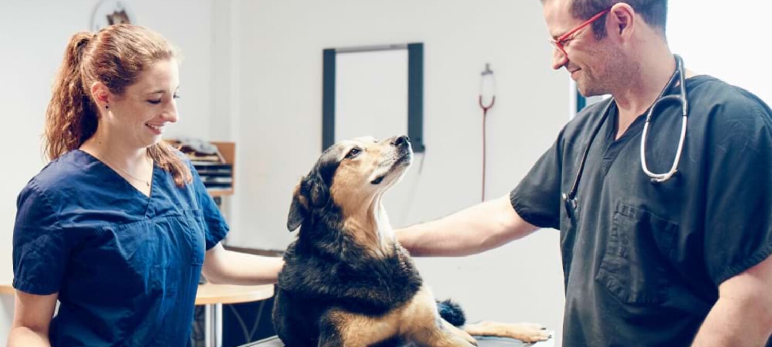 Dres. Lautersack streicheln einen Hund nach der Behandlung.