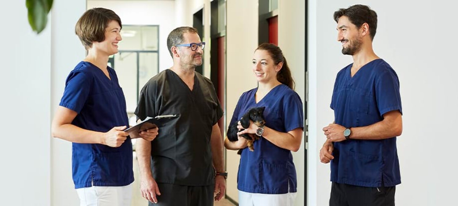 Behandler:innen unterhalten sich lachend im Flur der Klinik.