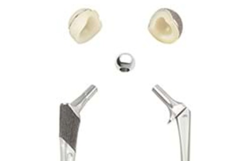 H&uuml;ftendoprothesen f&uuml;r Hunde und Katzen