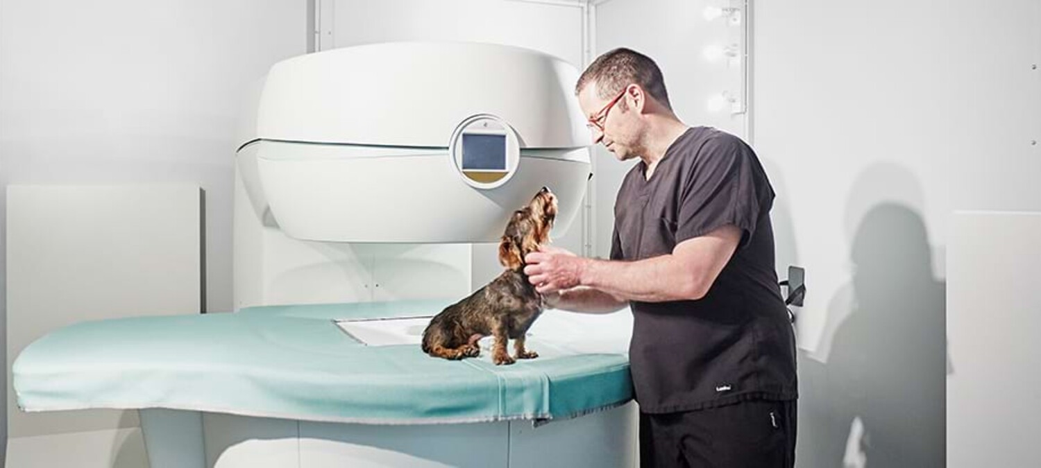 Dr. Oliver Lautersack behandelt einen Dackel.