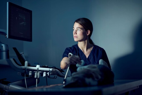 Frau Dr. Keiner untersucht mit einem Handscanner einen Hund.
